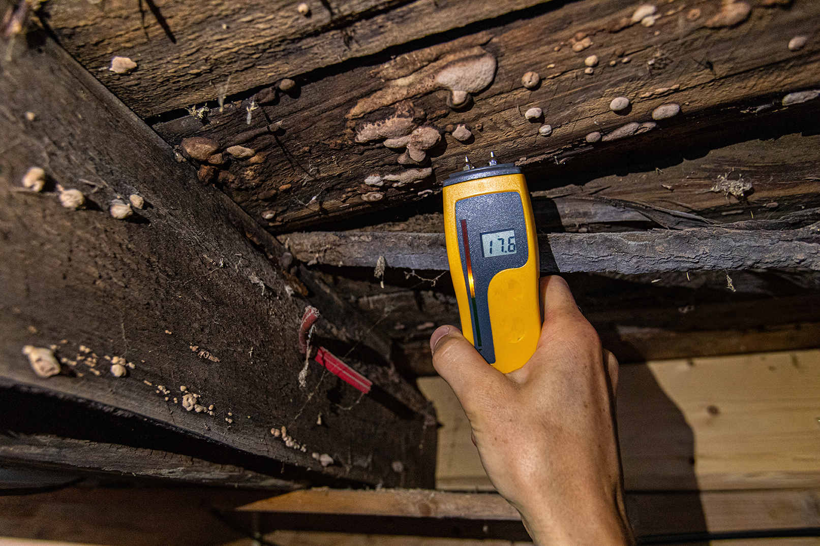 Quality Foundation Repair Austin inspecting crawl space moisture levels with a digital meter, identifying mold and decaying wood.