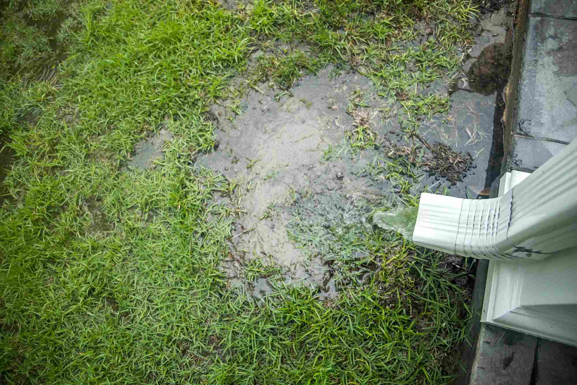 Quality Foundation Repair Austin assessing pooling water from a downspout indicating flood damage.