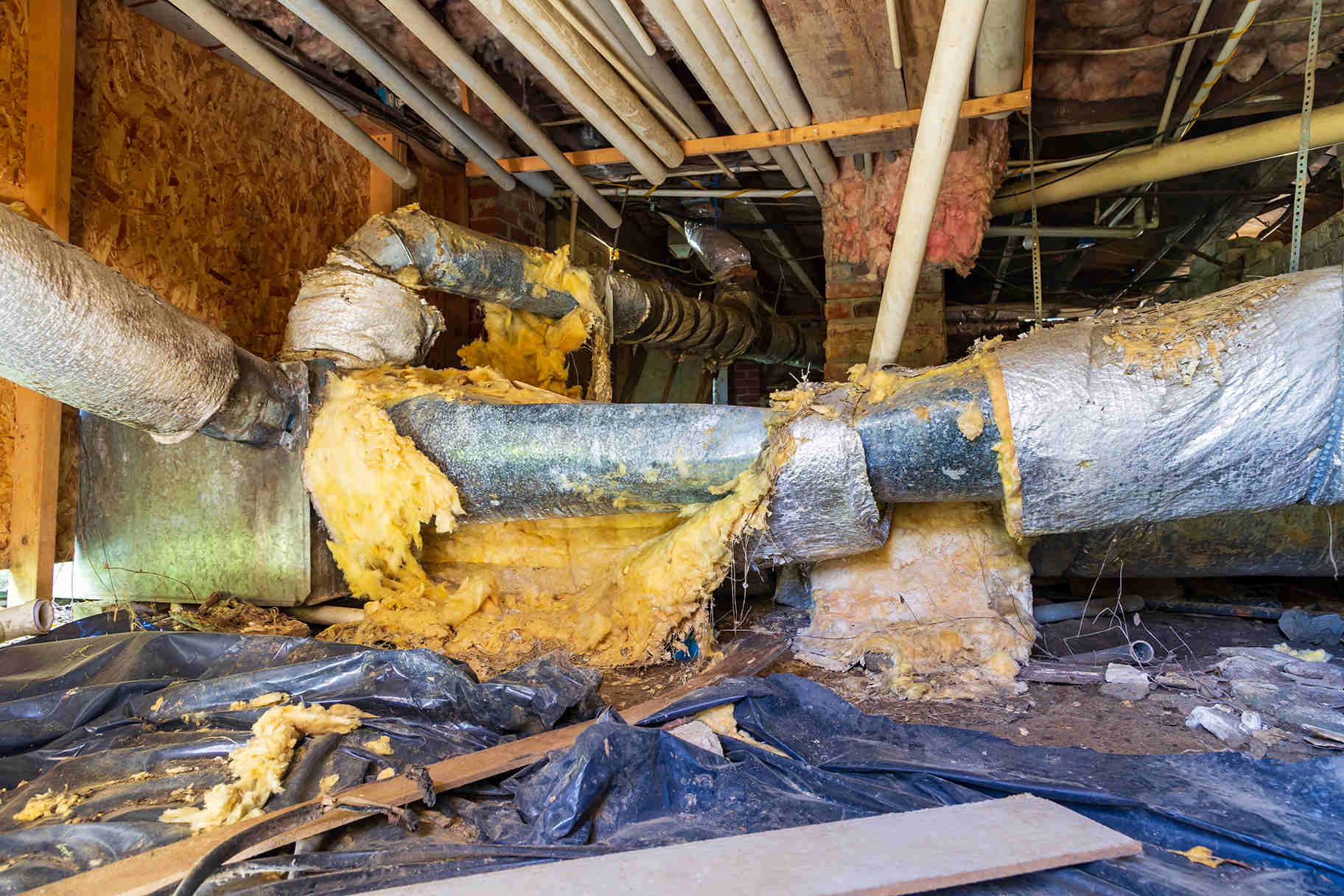Quality Foundation Repair Austin inspecting a damp crawl space with damaged insulation, debris, and a dirty vapor barrier.