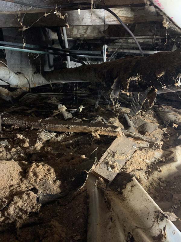 Severe wood rot and rotting floor joists found in a damaged crawl space.