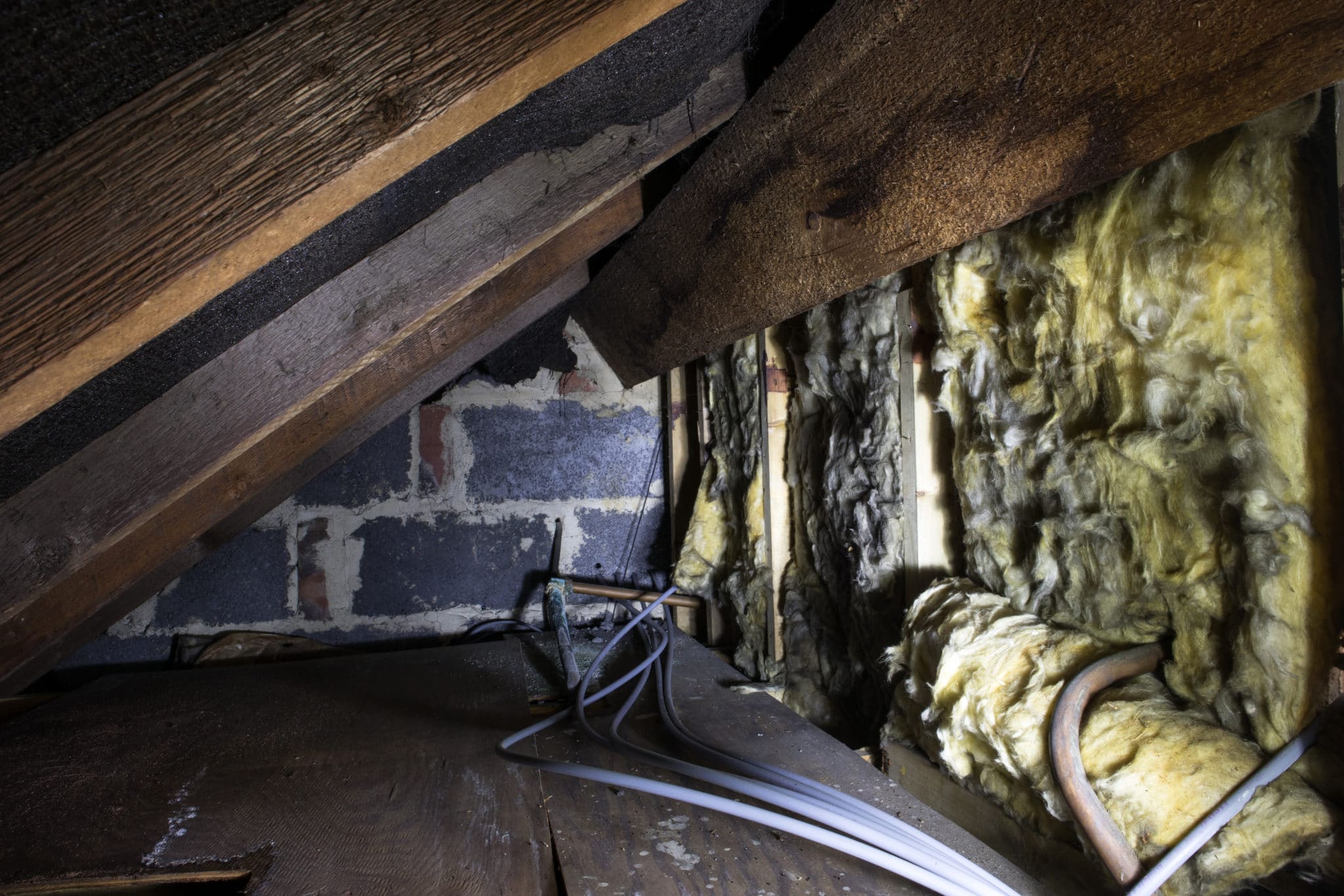 Wood rot and visible mold damage on crawl space framing and insulation.