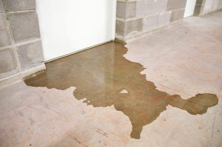 Basement flooding with standing water on a concrete floor.