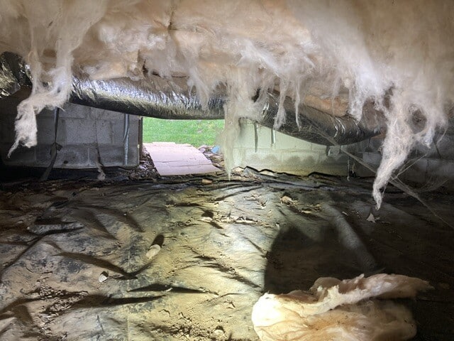 Mold and damaged insulation found during a crawl space inspection.