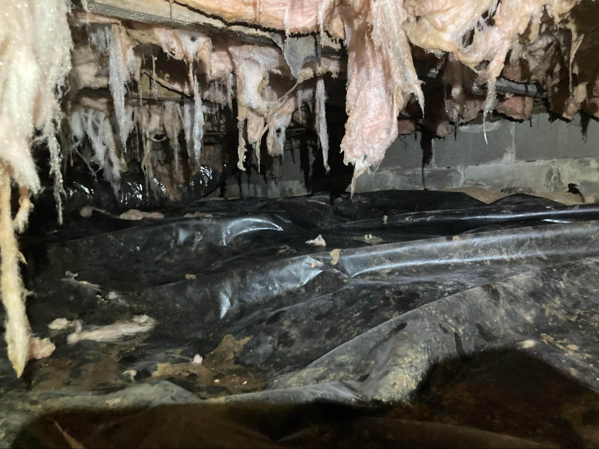 Crawl space mold and odor problem signs found during an inspection.
