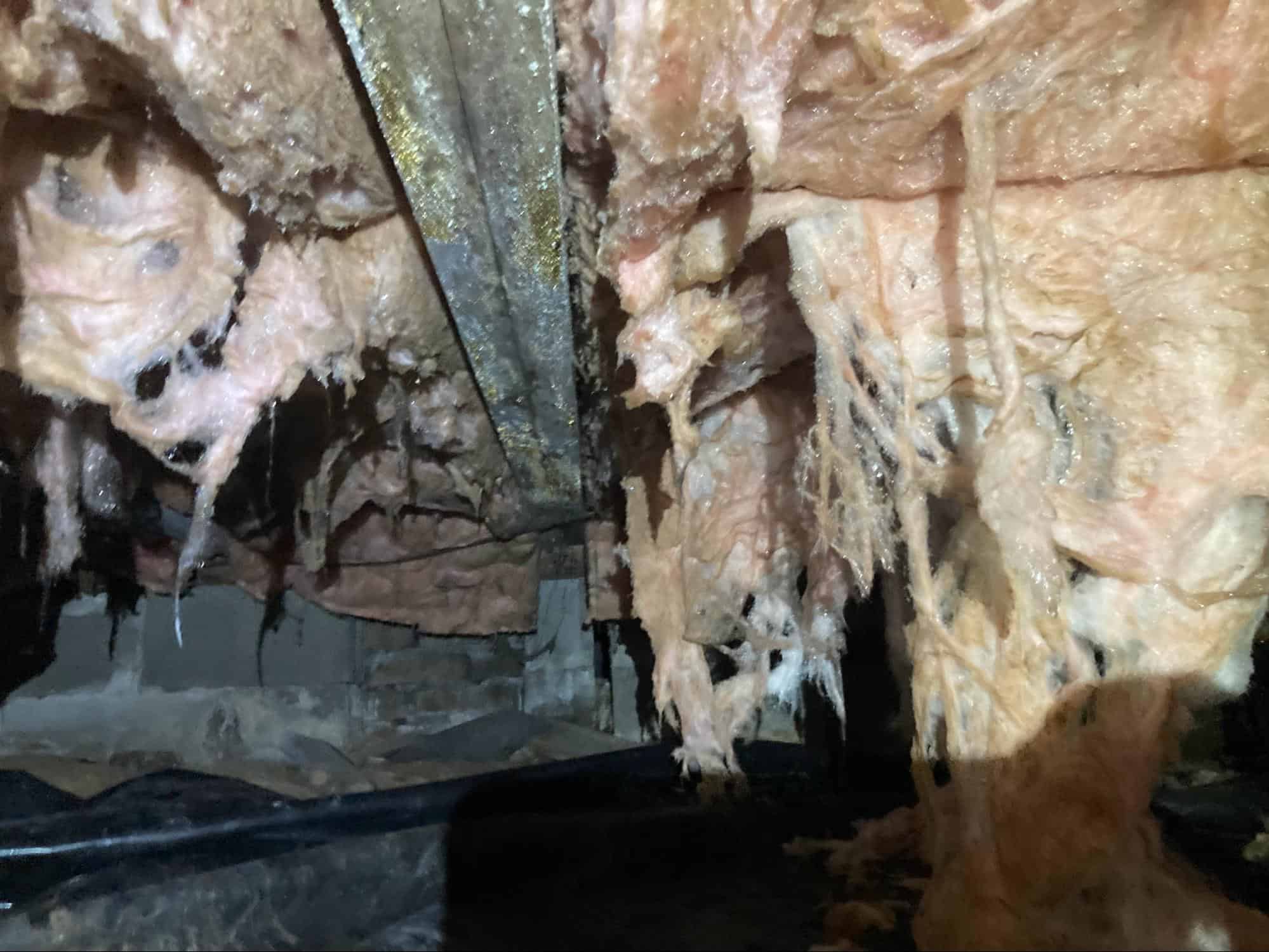 Ground Up Foundation Repair, Waterproofing and Concrete Leveling inspecting severe mold and mildew on deteriorated crawl spac