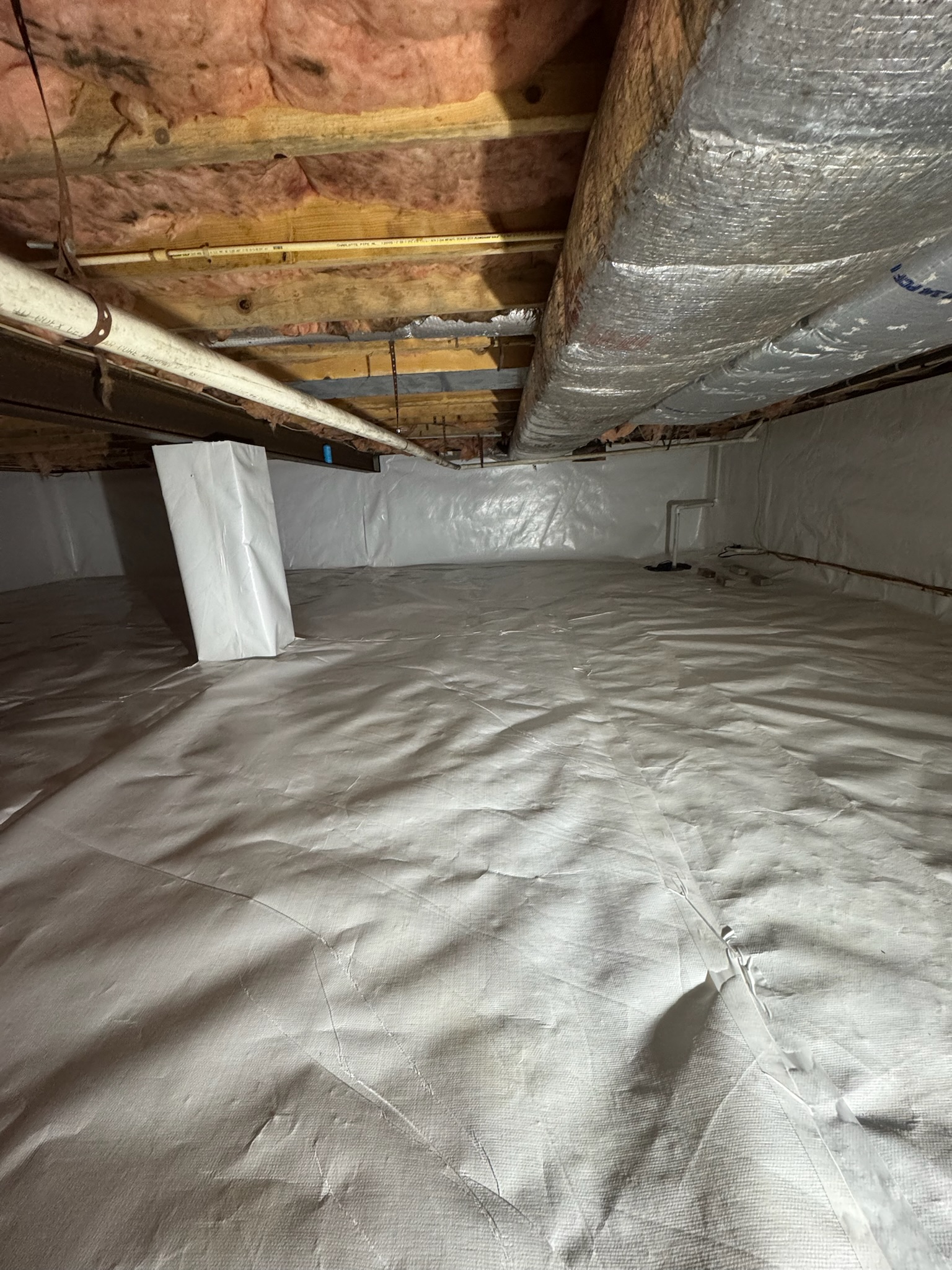 Early signs of mold developing from sustained high humidity in a Maryland crawl space