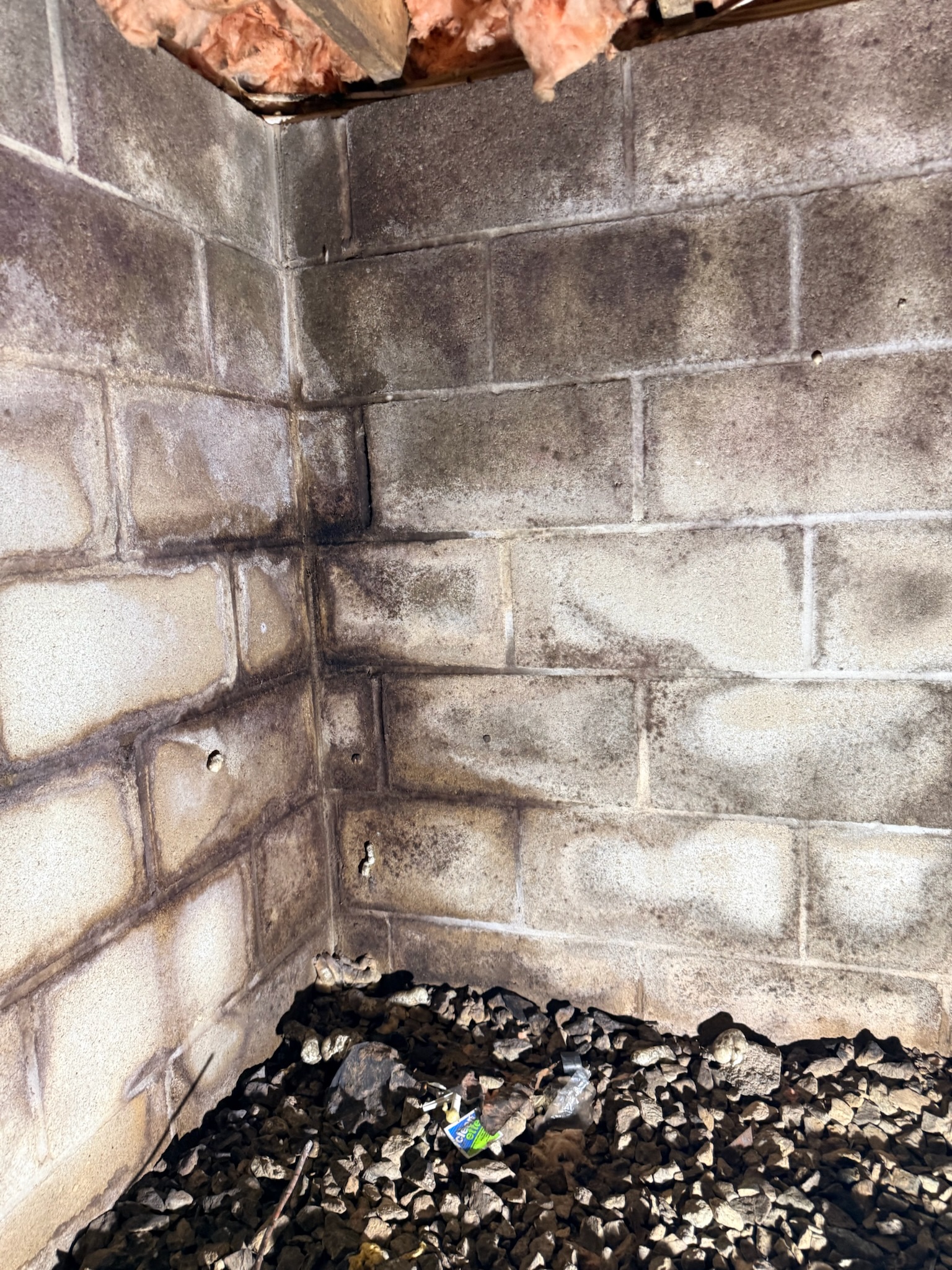 Severe mold growth and water staining on a concrete block wall in a Maryland crawl space