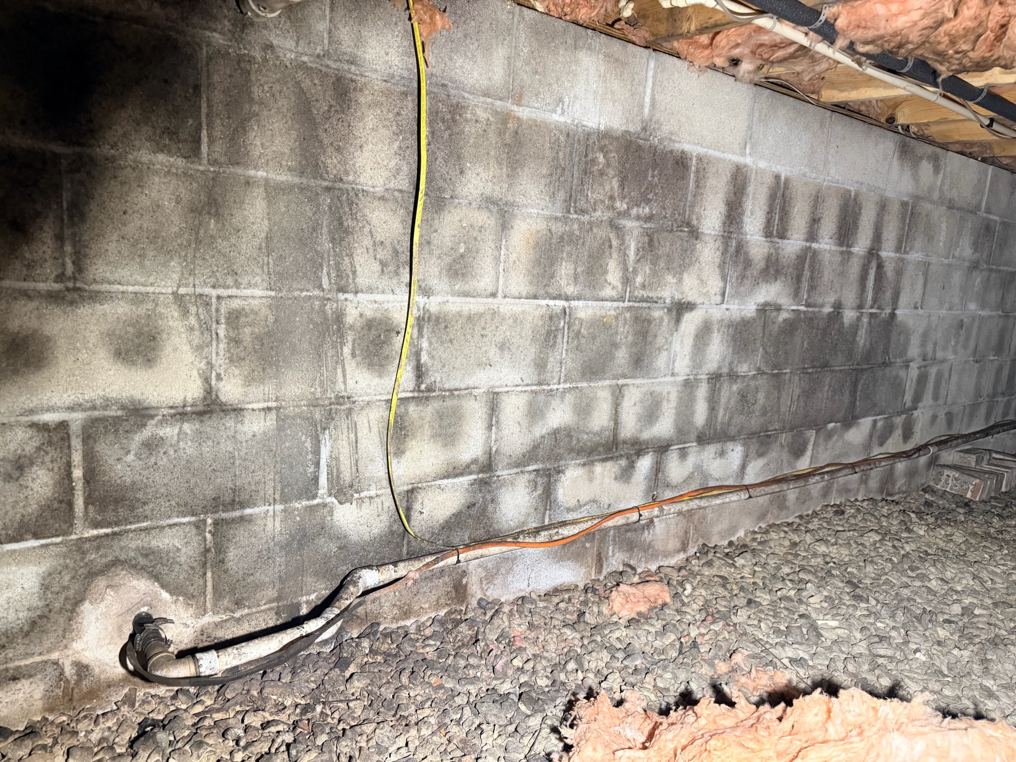 Inspection & Air Pathway Diagnosis