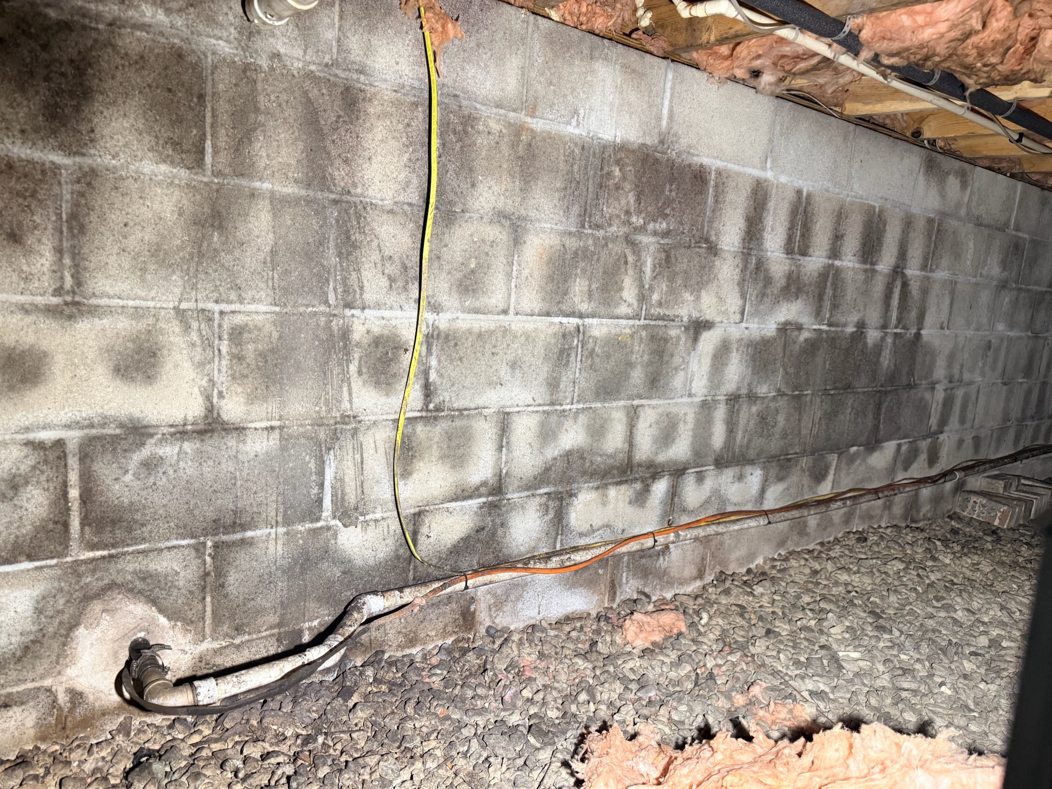 Moisture and mold forming on a concrete block wall, a sign a crawl space needs dehumidification