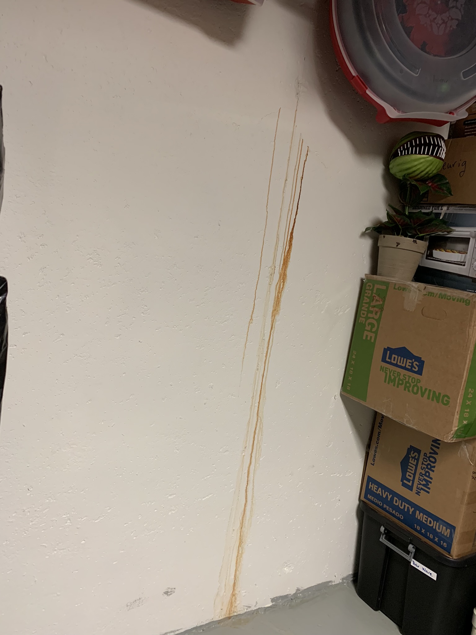 Water stains and moisture damage on a Maryland basement wall, a source of musty odors