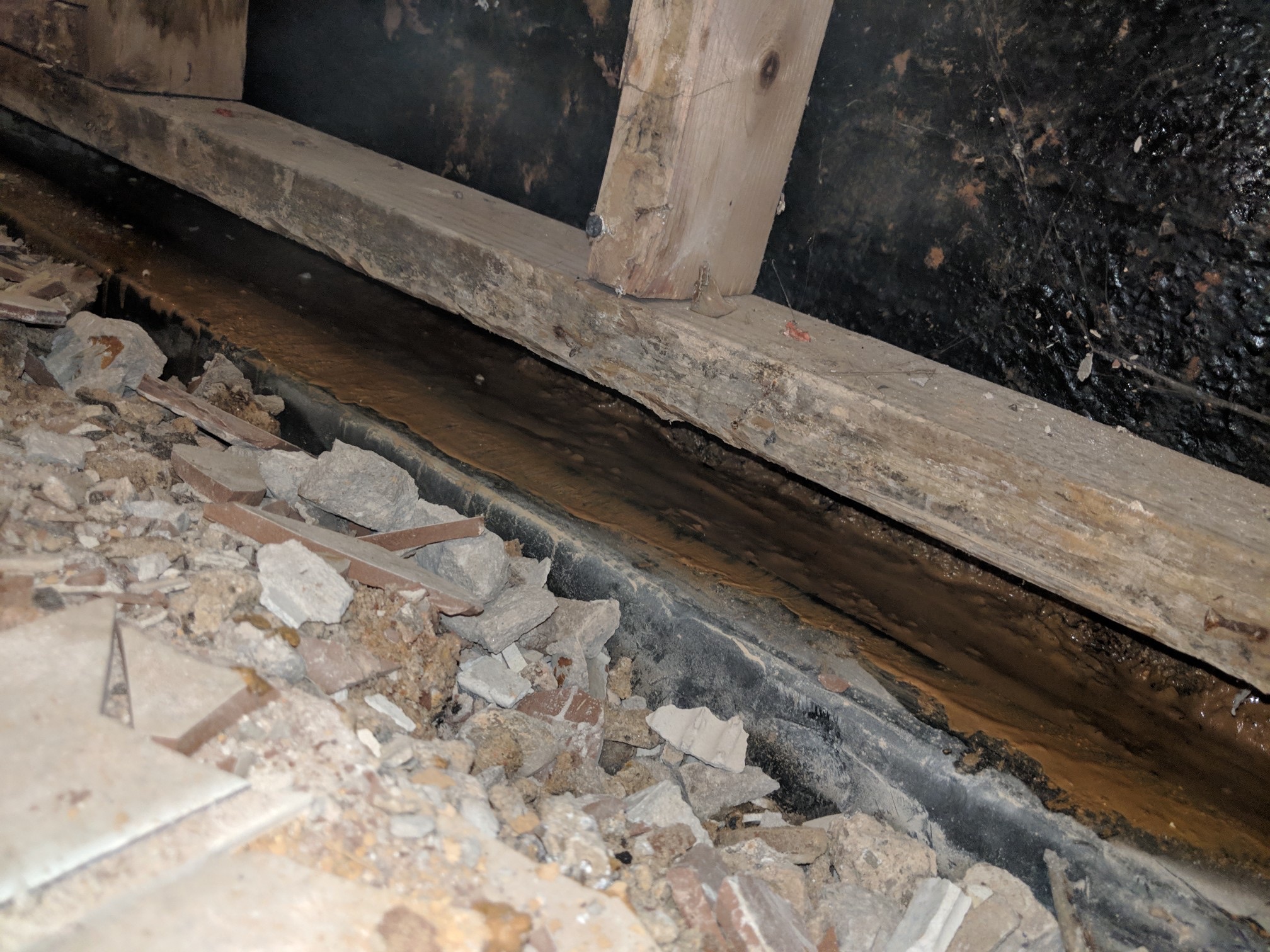Standing water and mold in a Maryland crawl space with damaged wooden joists