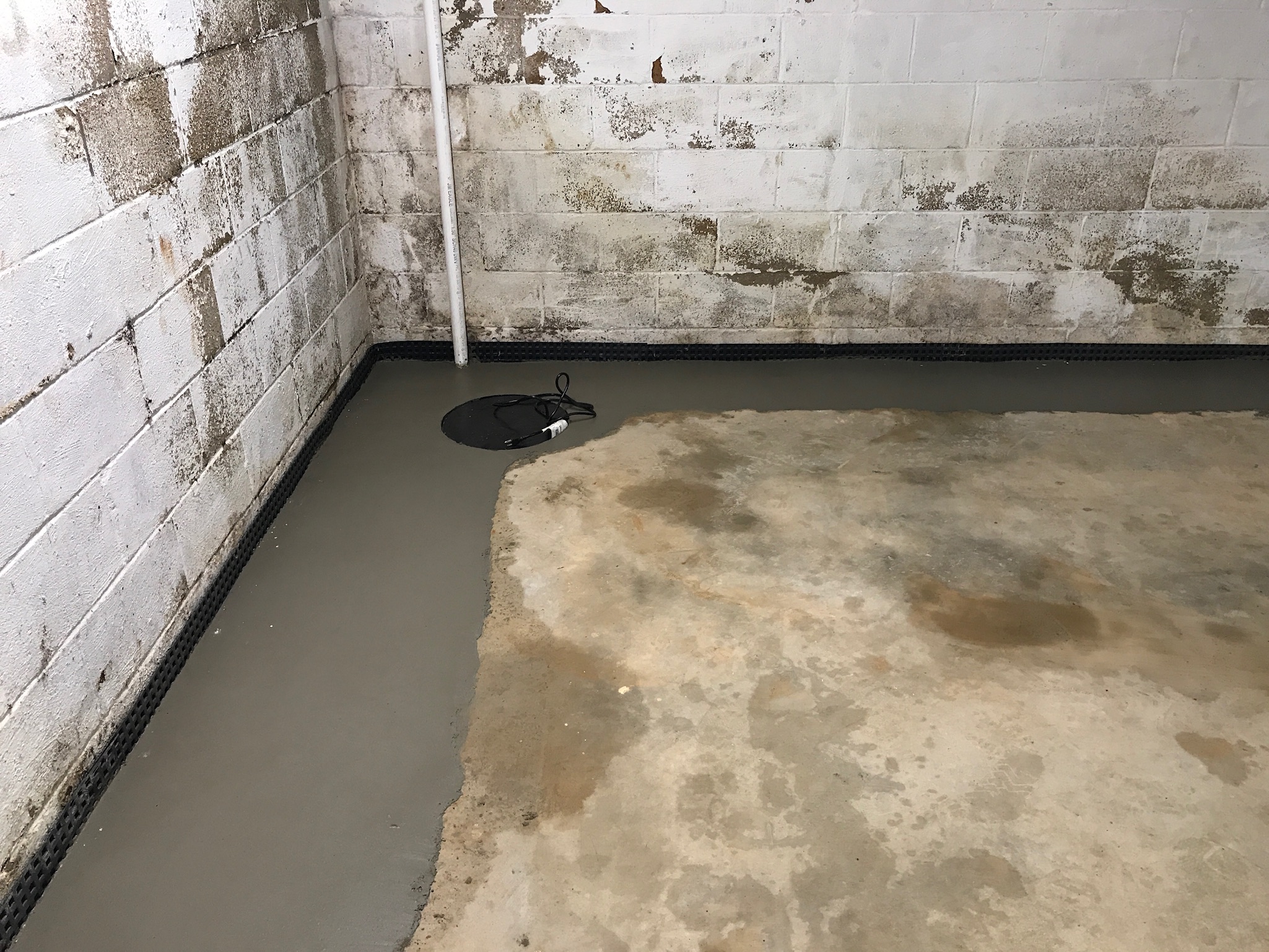 Backup sump pump with mold remediation and drainage system