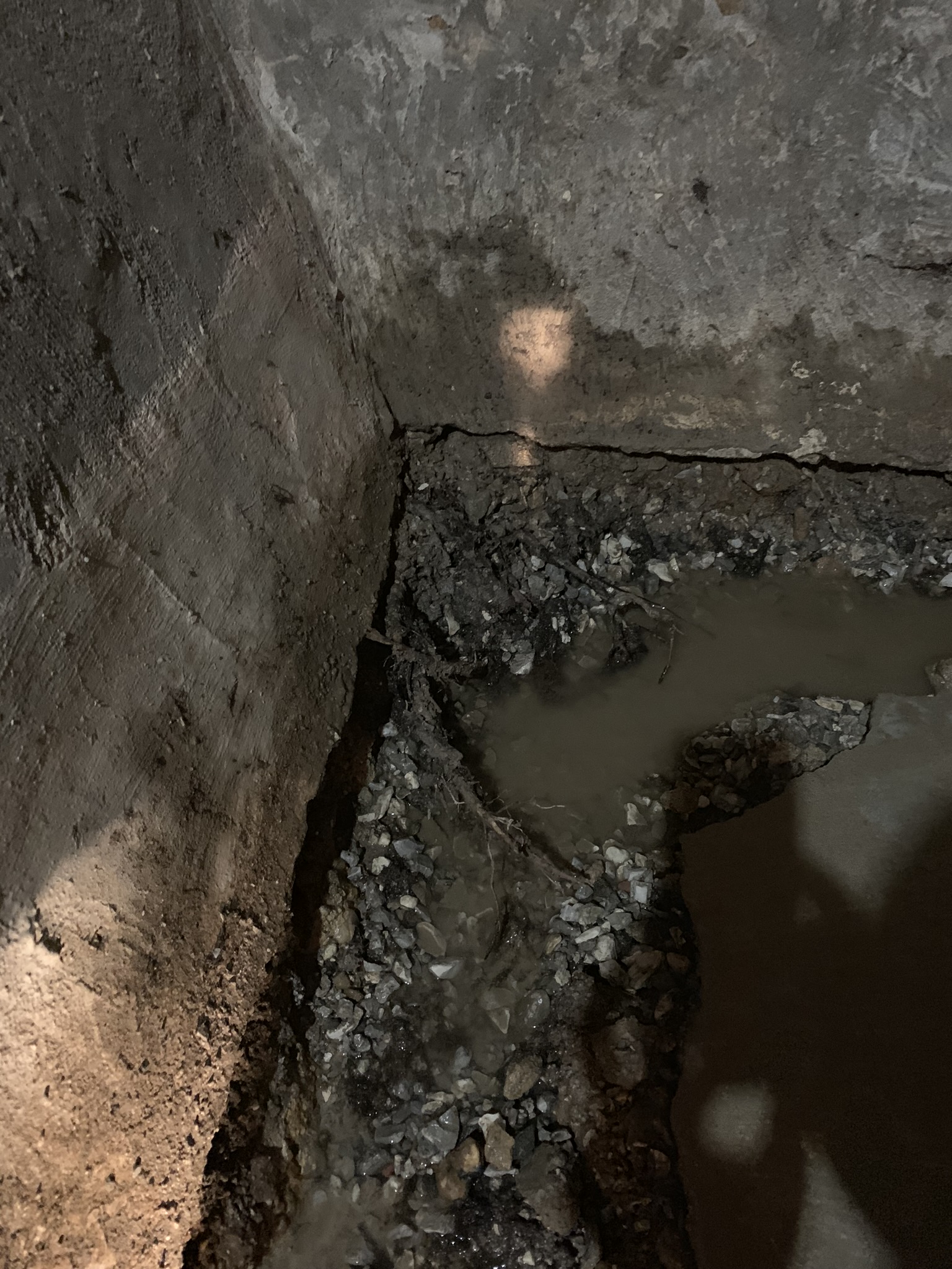 Standing water in crawl space requiring drainage
