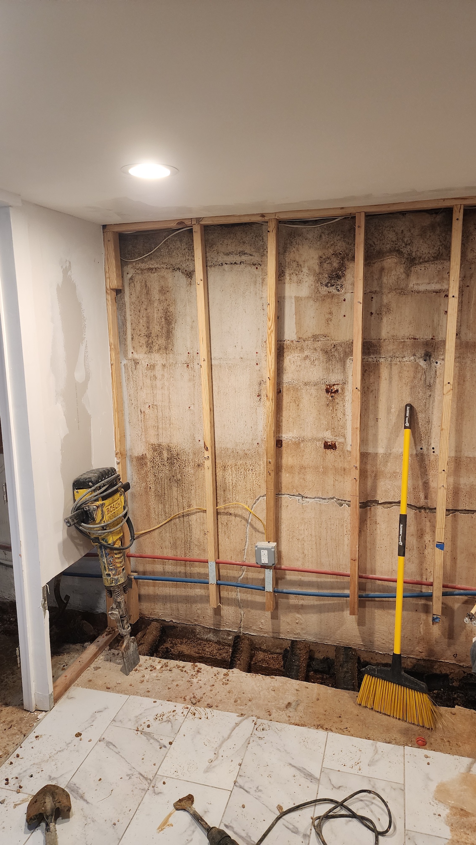 Severe mold and water damage on exposed wet drywall in a Maryland basement