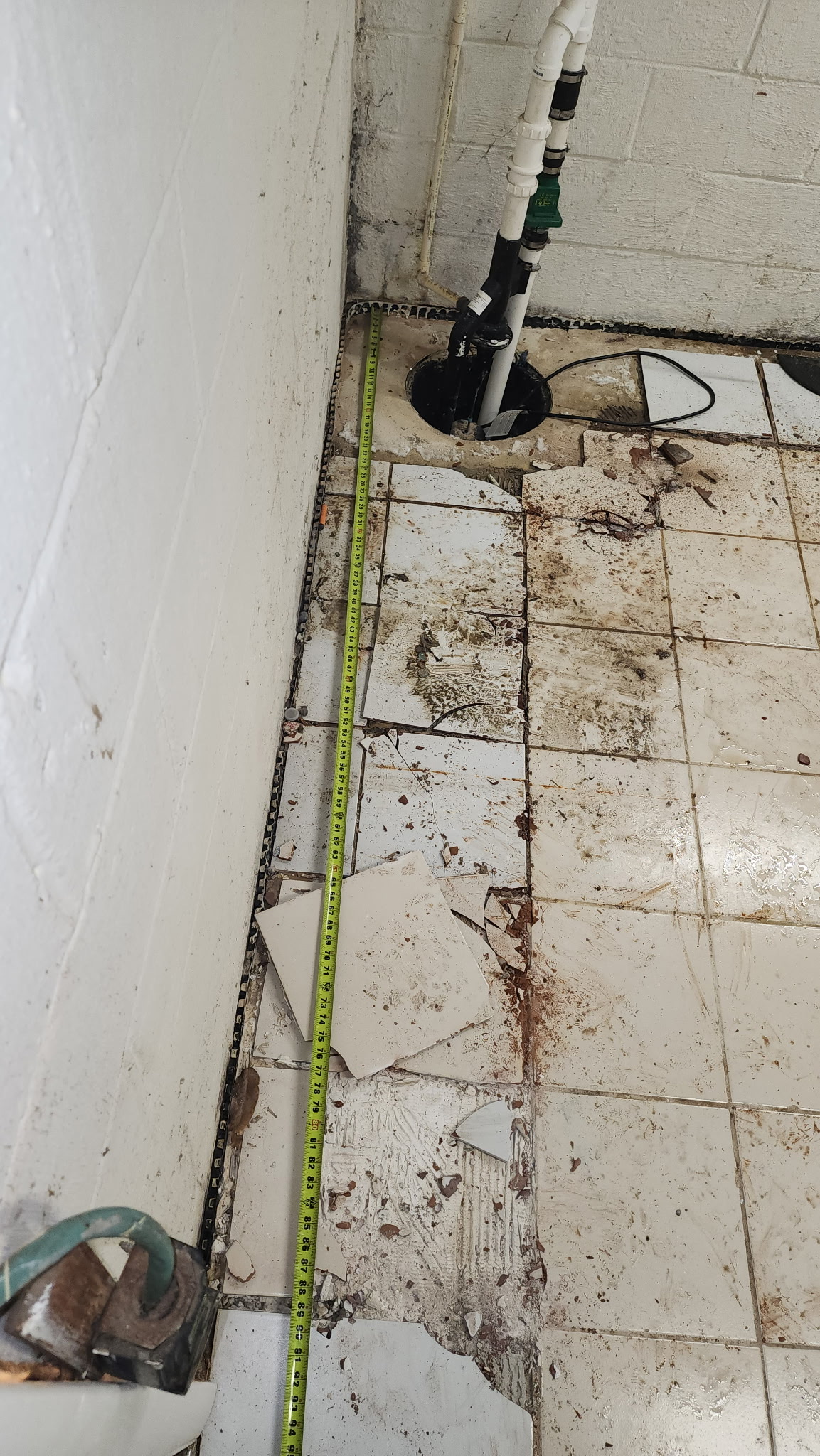 Sump pump failure diagnosed and resolved in a Maryland basement