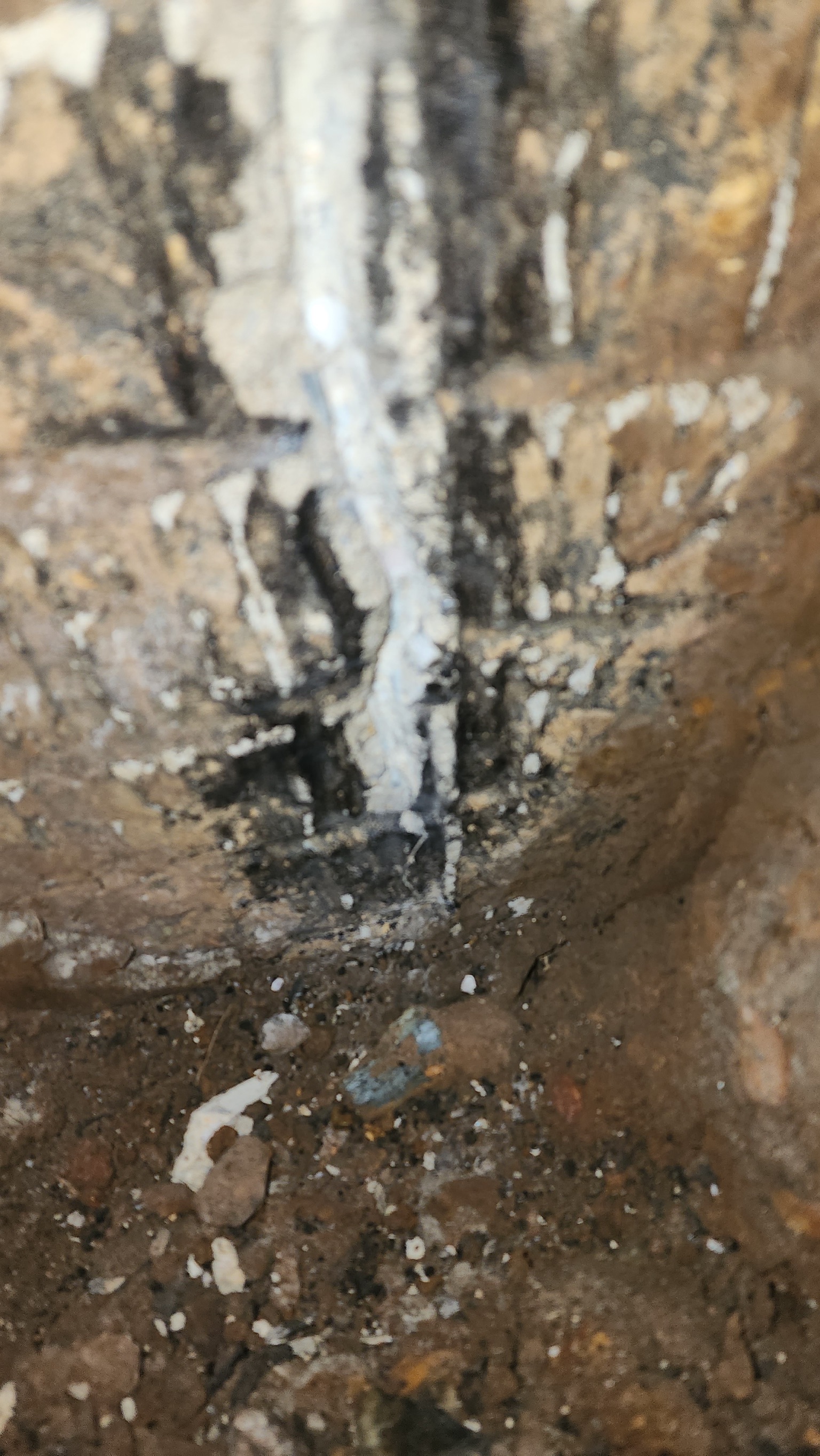 Foundation footing area in a Maryland home