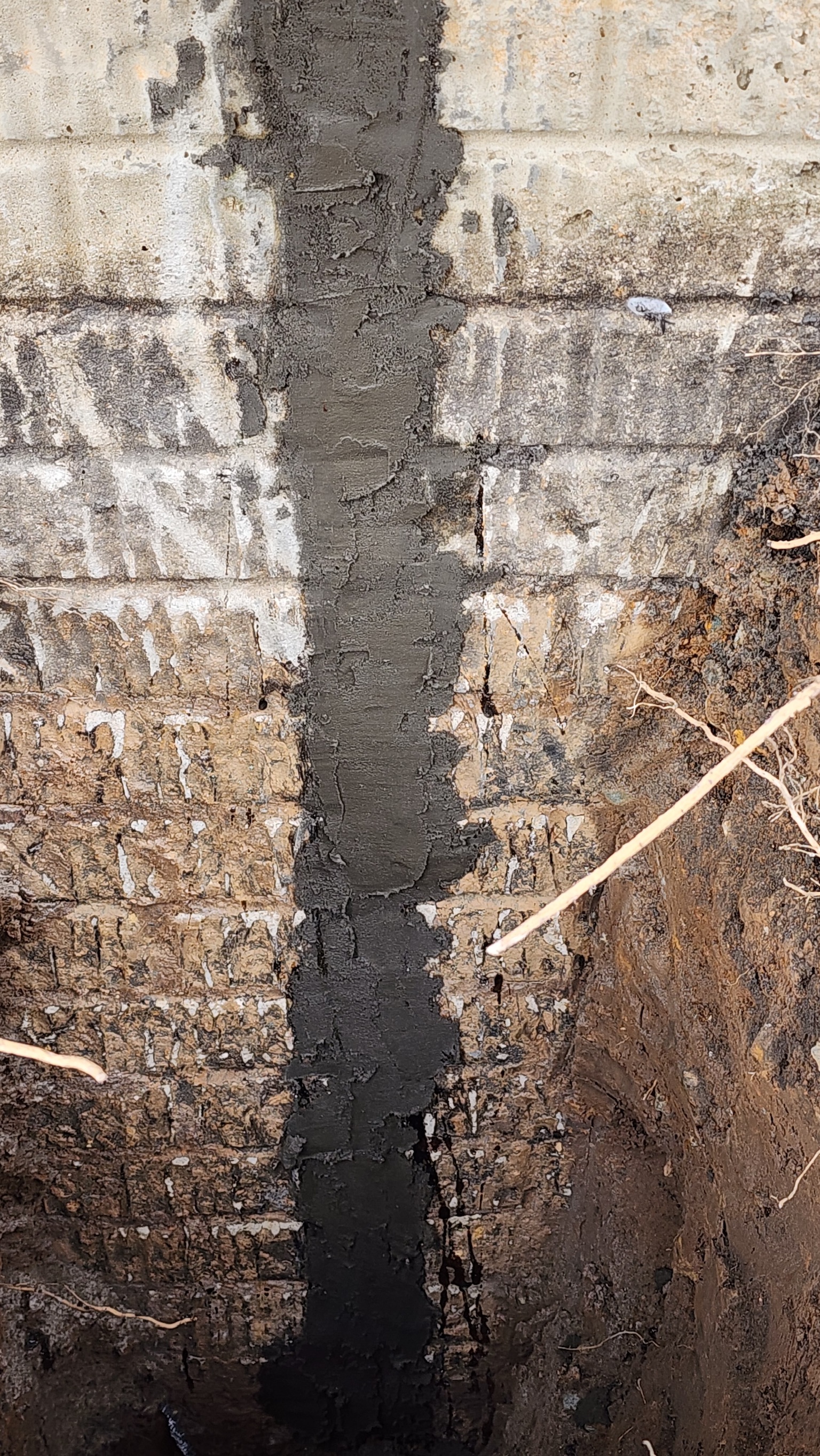 Structural Distress Check