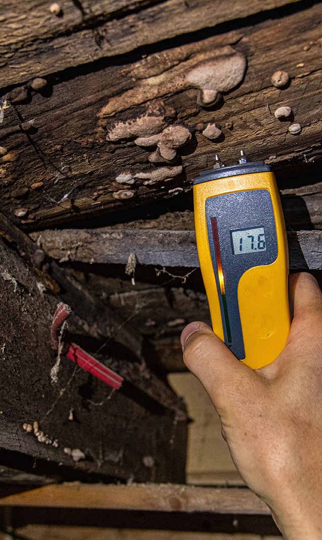 Quality Foundation Repair Austin inspecting crawl space moisture levels with a digital meter, identifying mold and decaying w